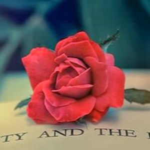 Meet your Posher, Beatriz